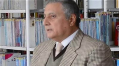 عضو المجلس المصري للشئون الخارجية: مصر هي صوت أفريقيا القوي