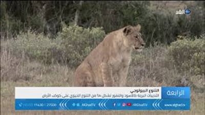 تقرير: 20% من الكائنات الحية مهددة بالانقراض (فيديو)