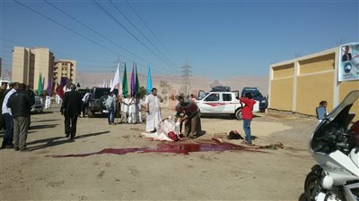 مسئولو مركز شباب نقادة يذبحون عجلا احتفالا بزيارة وزير الرياضة (فيديو)