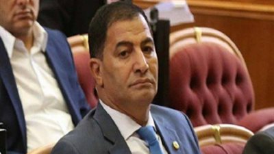 نائب يطالب بالقضاء على ورد النيل: فاقد المياه يكفى لزراعة آلاف الأفدنة