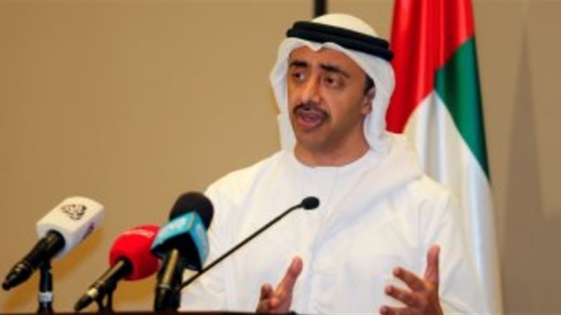 وزير الخارجية الإماراتى