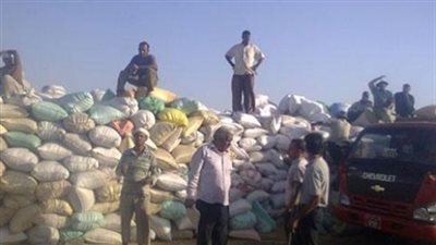 تسليم 145 ألف طن قمح لـ
