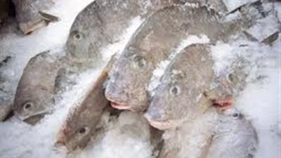 أخصائية تغذية: انتبهي لشروط طهي الأسماك المجمدة