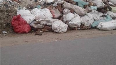 العثور على كمية كبيرة من رؤوس الماعز المذبوحة بالخانكة| صور