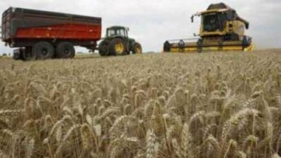 ألمانيا تصدر63 ألف طن قمح لإيران