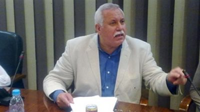 المرشدي: المشكلات الاقتصادية والأمنية لن تحل بانتخاب الرئيس