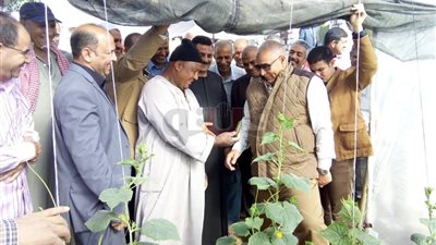محافظ الوادى الجديد: دعم الصوب الزراعية من جهاز تنمية المشروعات