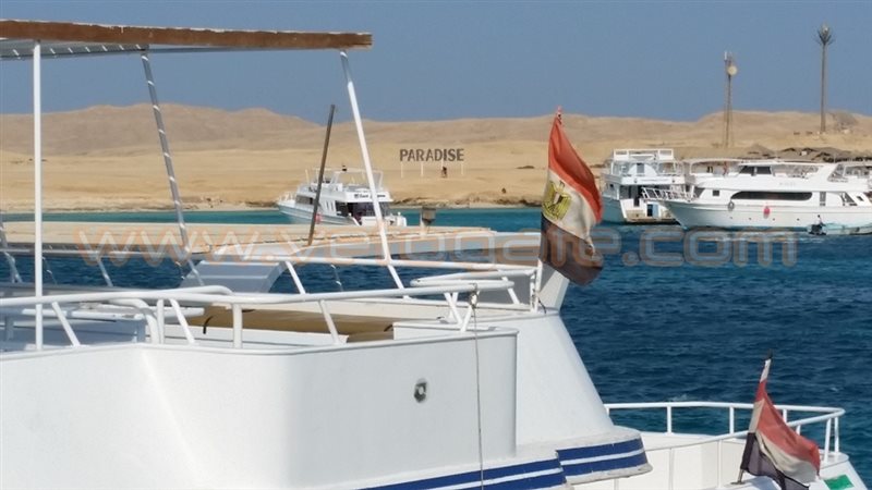 فيتو