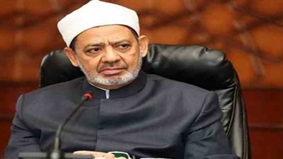 الإمام الأكبر يبحث التعاون مع وزير الداخلية الإماراتي