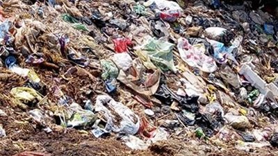 أهالي «المزرعة» بالشرقية يشكون انتشار القمامة والحيوانات النافقة (صور)