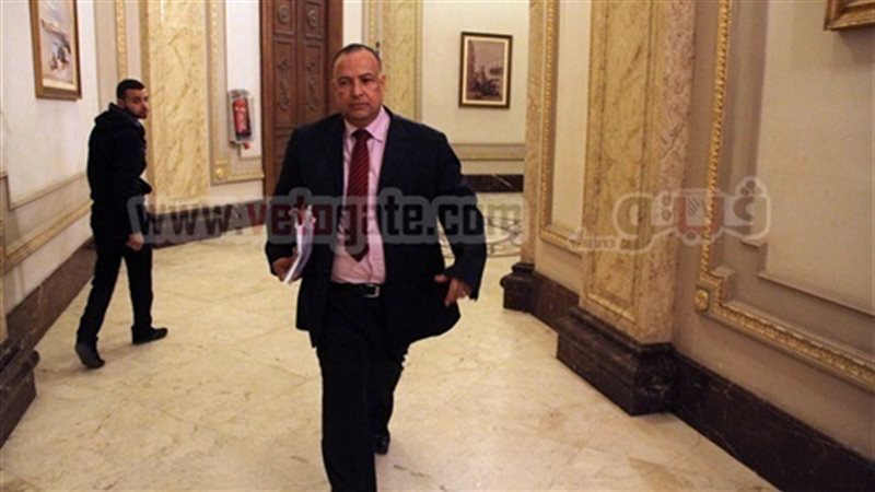 محمد الحنفي أبو العينين