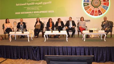 مروج إبراهيم في جلسة عن «تأثير السوشيال ميديا والمساواة بين الجنسين»