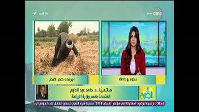 الزراعة: توفير الأسمدة والتقاوى عالية الجودة من القمح بالجمعيات (فيديو)