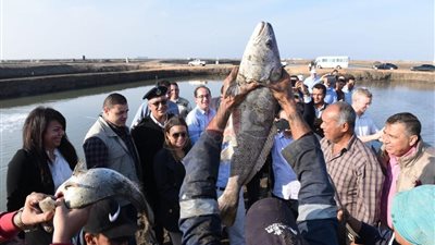 وفد البنك الآسيوي يشيد بمشروعات المنطقة الاقتصادية لقناة السويس.. ويؤكد: نعتزم ضخ استثمارات جديدة.. مميش: البنية الأساسية السليمة أساس نجاح أي مشروع.. ووزيرة الاستثمار: حوافز للمستثمرين بـ3 قطاعات