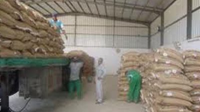 العراق يشتري 150 ألف طن من الأرز التايلاندي