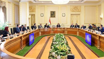 تفاصيل رؤية الحكومة للاستفادة من مشروع إنشاء المتحف الكبير