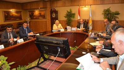 محافظ الغربية يناقش المشروعات الخدمية مع مسئول بمجلس الوزراء