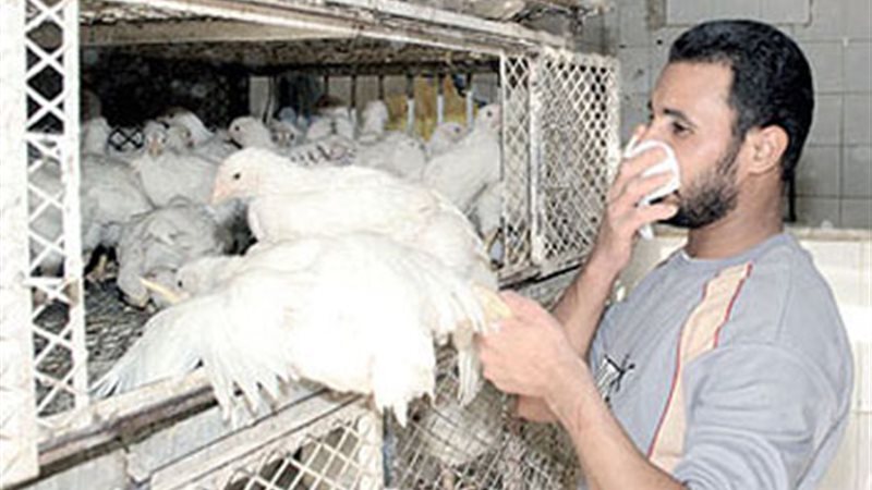صوره ارشيفيه