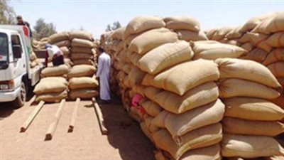 توريد 151 ألف طن قمح لشون الغربية