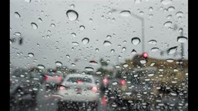 «المرور» تنصح قائدي السيارات بالتأكد من السلامة الفنية للفرامل (فيديو)