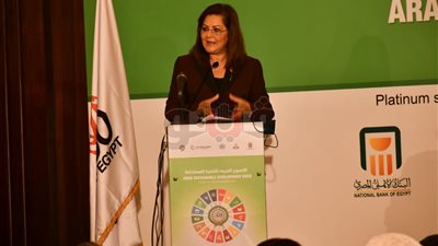 التخطيط: مصر مستعدة للتعاون مع الأشقاء العرب في إنشاء مرصد التنمية