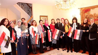 نبيلة مكرم تدعو المصريين بالخارج لدعم قرية الروضة ومستشفى العريش