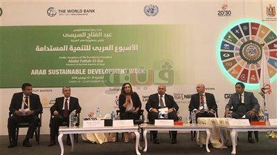 وزير الكهرباء: 25 ألف ميجاوات قدرات إضافية بنهاية 2018 (صور)