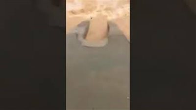 شاب يخاطر بحياته ويرمي نفسه في السيول (فيديو)