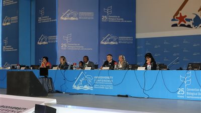 فوز 5 دول بانتخاب أعضاء المكتب التنفيذي لاتفاقية ناجويا