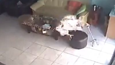 سقوط مروع لعجوز وإصابتها في وجهها (فيديو)