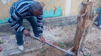 مدير مدرسة بقنا يحمل الفأس لتشجيرها: «مش عيب نشتغل بإيدينا عشان ولادنا»