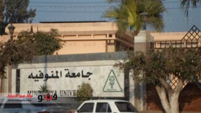 أستاذ بزراعة المنوفية: تنمية الثروة الداجنة تساعد على الاكتفاء الذاتي