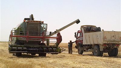 بالفيديو.. توريد 109 آلاف طن قمح إلى شون الوادى الجديد