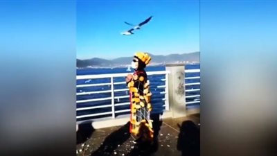 رجل غريب يعلق الخبز على جسده لجذب الطيور (فيديو)