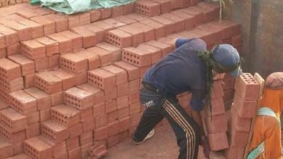 انطلاق مؤتمر إستراتيجية صناعة الطوب الطفلي في مصر.. غدا