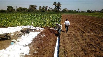 حملات لإزالة التعديات على الأراضي الزراعية وأملاك الدولة بالمنيا