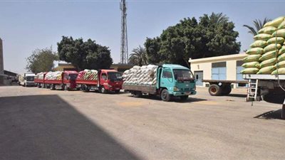 توريد 150 ألفا و389 طن قمح لـ28 صومعة وهنجر بأسيوط