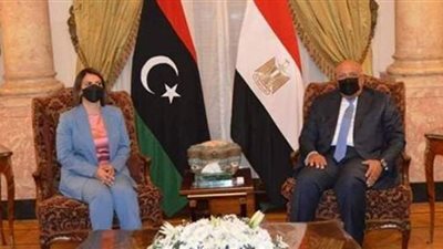 سامح شكري يطالب إثيوبيا بتدبر المساندة العربية لمصر والسودان بشأن سد النهضة