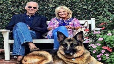 بايدن ينعى كلبه: ارقد بسلام ولدنا الطيب