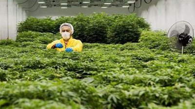 تهافت الشركات الإسرائيلية على المغرب بعد المصادقة على قانون 