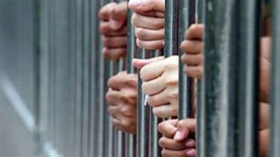 حبس 3 عناصر إجرامية بتهمة حيازة 312 طربة حشيش بالغربية