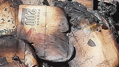 إصابة 17 في حريق مطعم شهير بالمنيا.. خسائر مادية بالجملة.. وألسنة اللهب تمتد لـ4 محال مجاورة | فيديو وصور