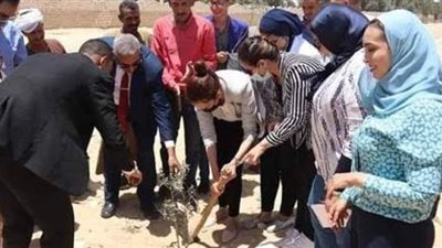 زراعة ٣٠٠ شجرة زيتون بقرى أطفيح