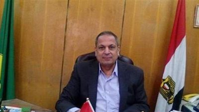 توريد 372 ألف طن قمح بشون وصوامع المنيا