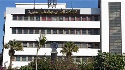 اليوم.. استئناف دعوى وقف قرار تصفية شركة الحديد والصلب