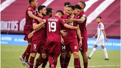 كوبا أمريكا.. كاستيلو يحرز هدف التعادل لفنزويلا في شباك الإكوادور | فيديو