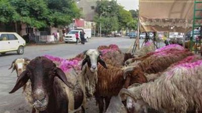 موعد عيد الأضحى المبارك 2021