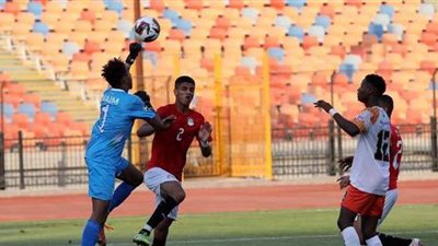 سبب مشاركة النيجر في بطولة كأس العرب للشباب؟