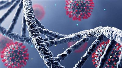 استشاري مناعة: بهذه الخطوات مصر تستطيع السيطرة على كورونا للأبد