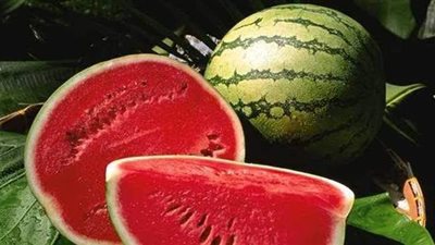 أزمة في المغرب بسبب البطيخ.. تعرف على التفاصيل